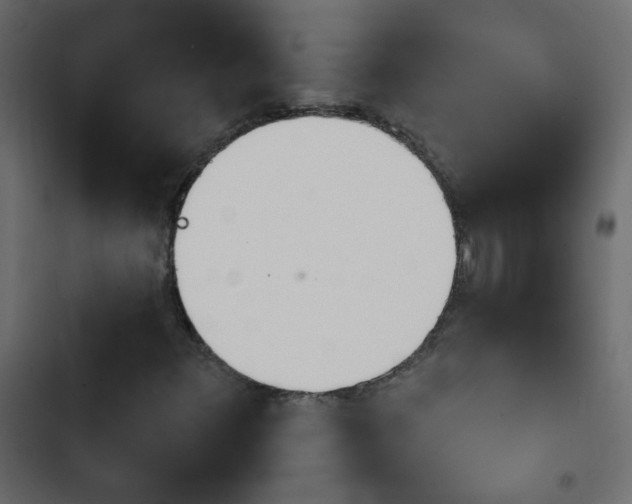X0000103931348200809261654