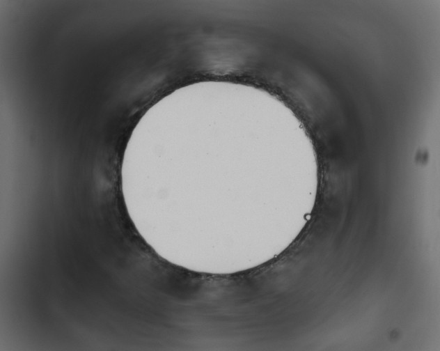 X0000103931349200809261654