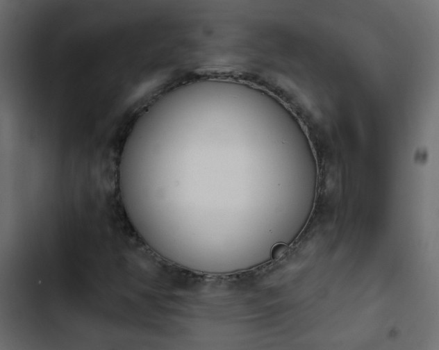 X0000103931350200809261654