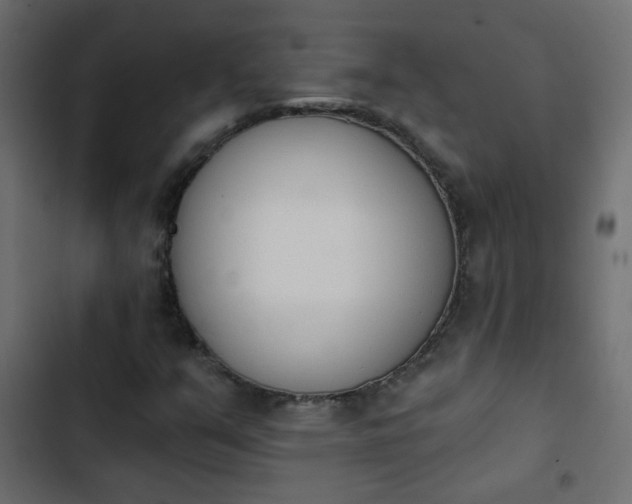 X0000103931351200809261654