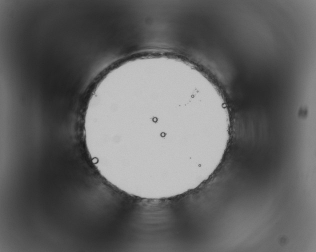 X0000103931352200809261654