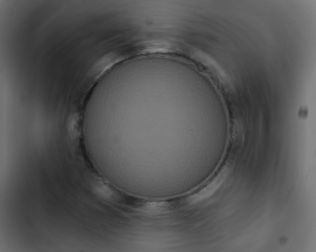 X0000103931353200809261654