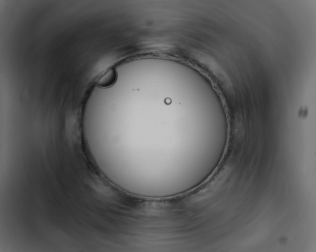 X0000103931354200809261654