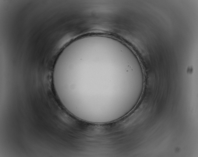 X0000103931355200809261654