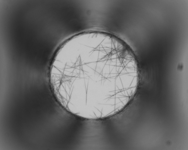 X0000103931356200809261654
