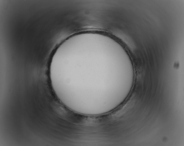 X0000103931357200809261654
