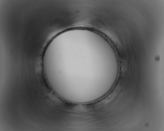 X0000103931358200809261654