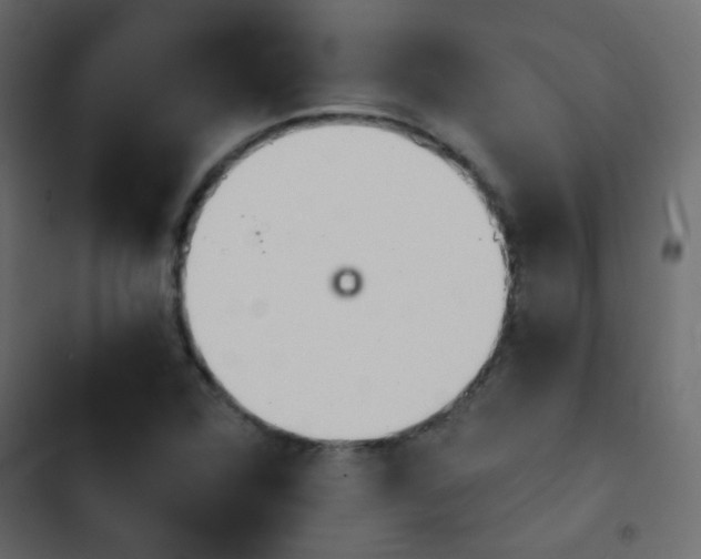 X0000103931360200809261654