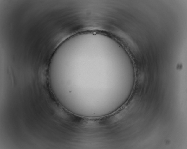 X0000103931361200809261654