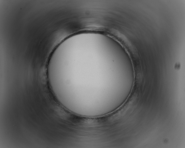 X0000103931362200809261654