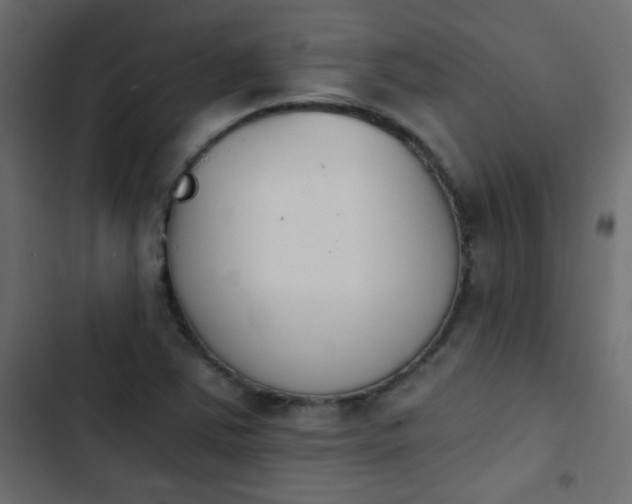 X0000103931363200809261654