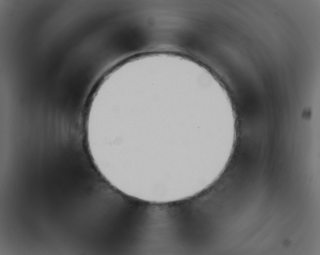X0000103931364200809261654