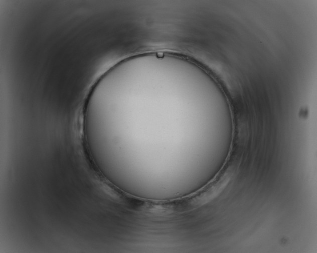X0000103931365200809261654