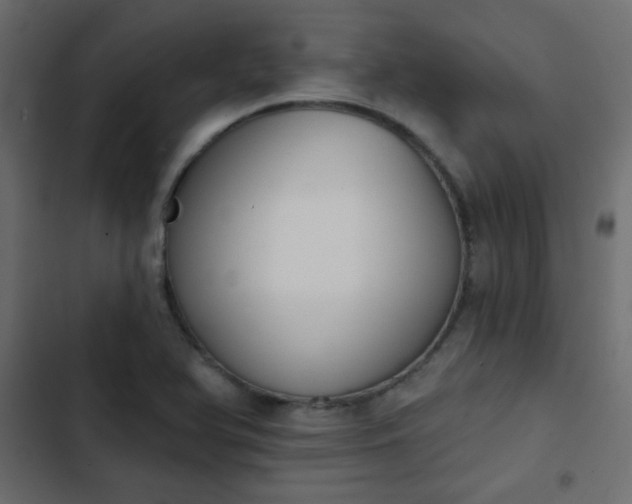 X0000103931366200809261654