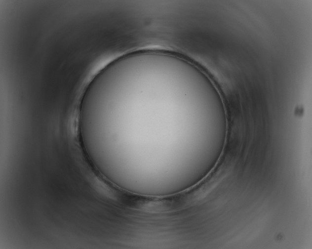 X0000103931367200809261654