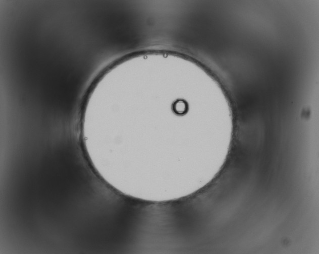 X0000103931368200809261654