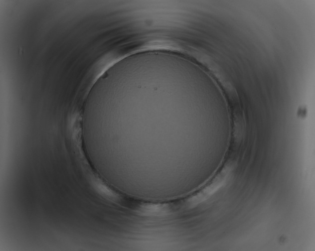 X0000103931369200809261654