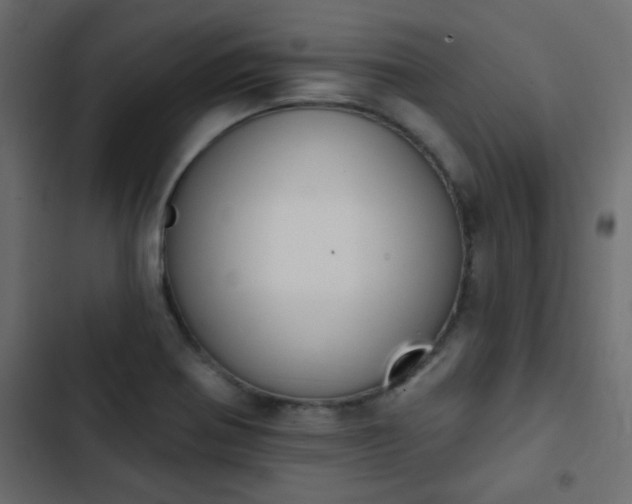 X0000103931370200809261654
