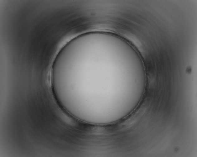 X0000103931371200809261654