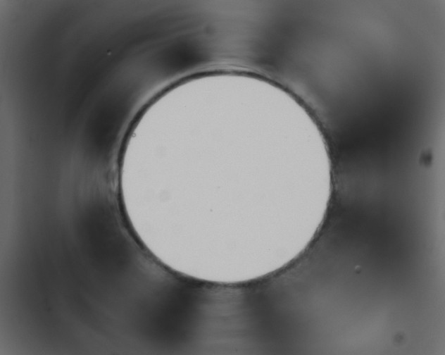 X0000103931372200809261654