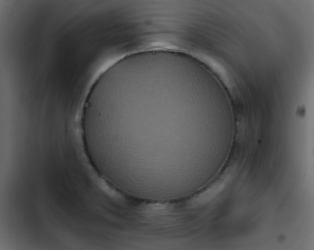 X0000103931373200809261654