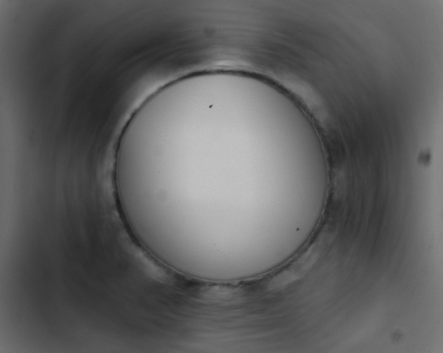 X0000103931374200809261654