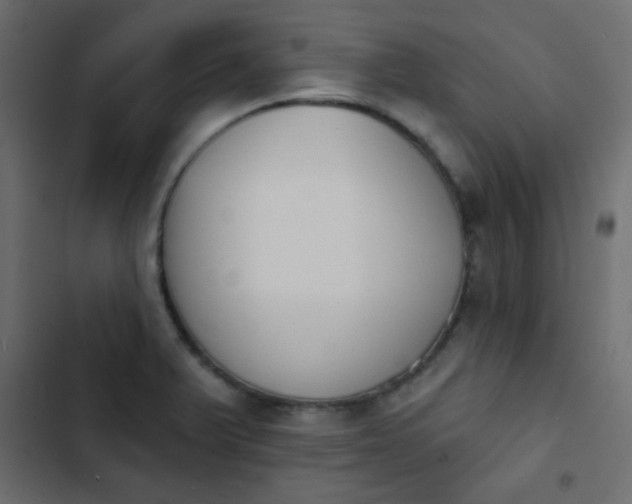 X0000103931375200809261654