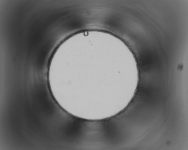 X0000103931376200809261654