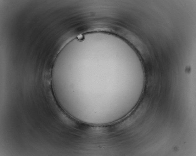 X0000103931377200809261654