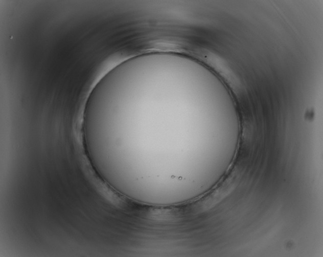 X0000103931378200809261654