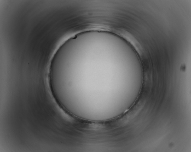 X0000103931379200809261654