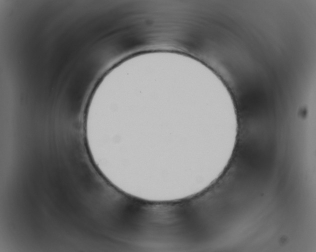 X0000103931380200809261654