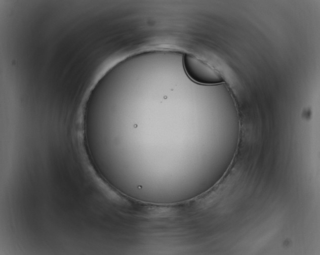X0000103931382200809261654