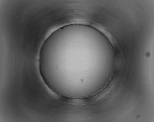 X0000103931383200809261654