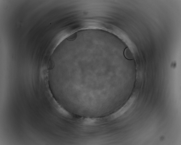 X0000103931385200809261654