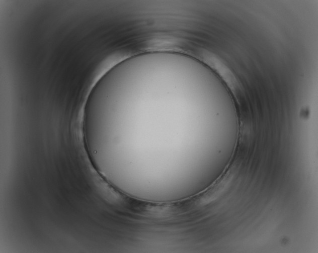 X0000103931386200809261654