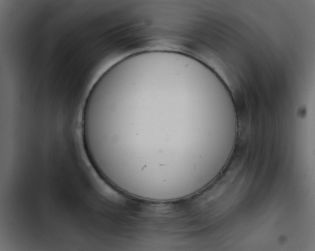 X0000103931387200809261654