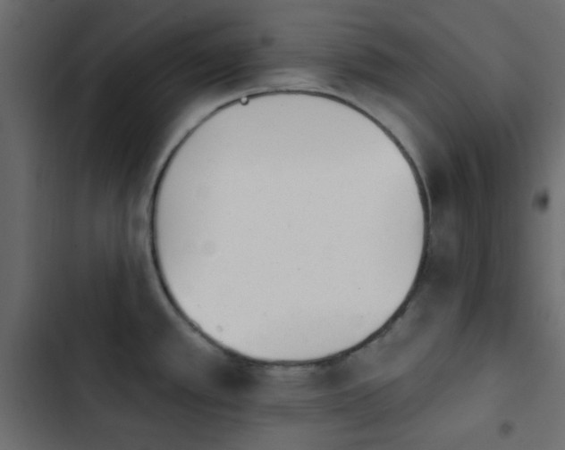 X0000103931389200809261654