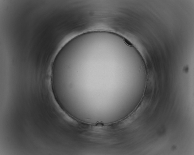 X0000103931390200809261654