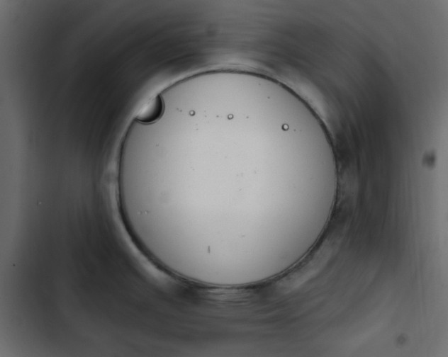 X0000103931391200809261654