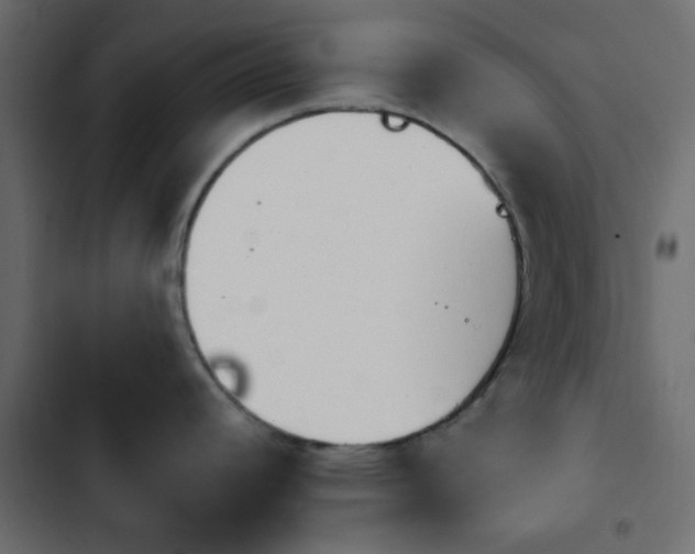 X0000103931392200809261654