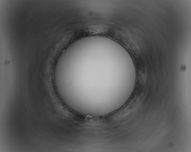 X0000103931393200809261653