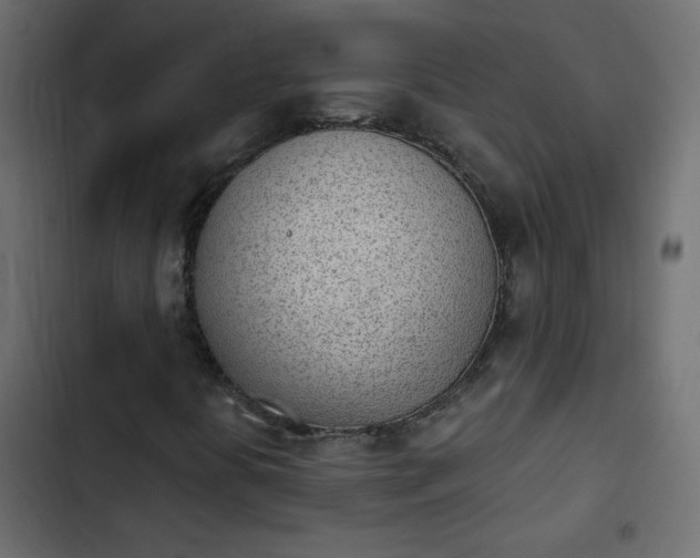 X0000103931394200809261653