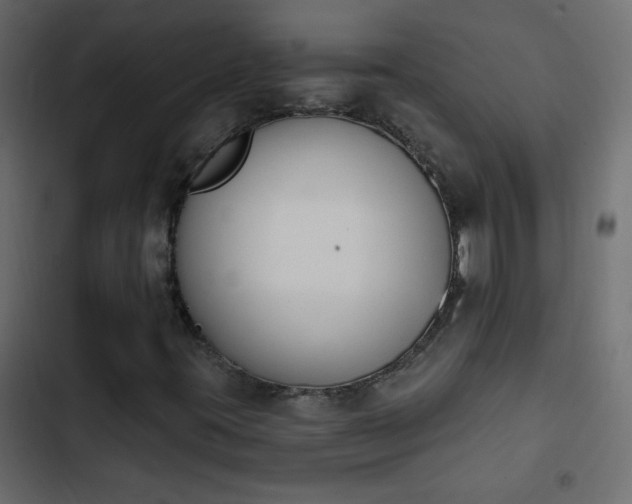 X0000103931395200809261653
