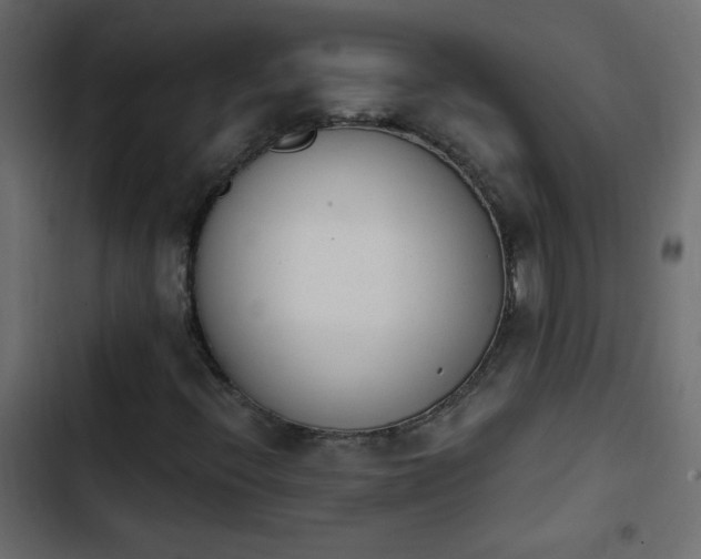 X0000103931396200809261653