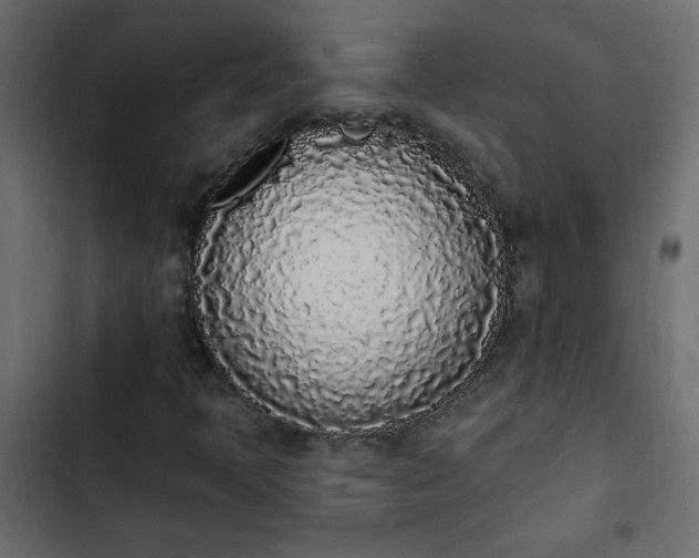 X0000103931397200809261653
