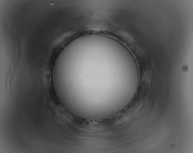 X0000103931398200809261653