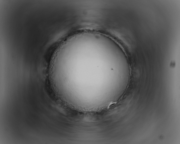 X0000103931399200809261653