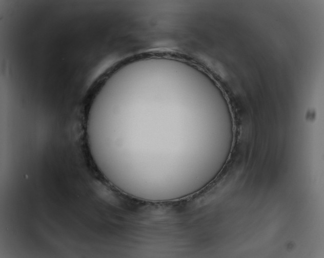 X0000103931400200809261653