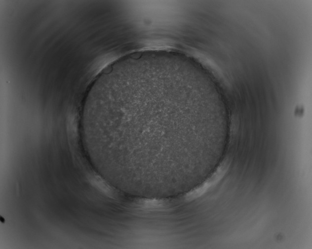 X0000103931401200809261653